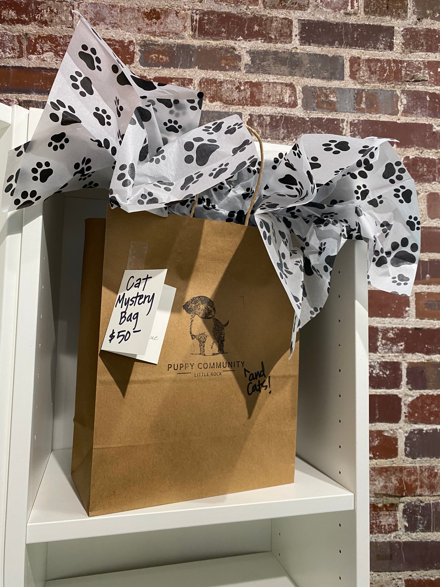 Mystery Box - Cat