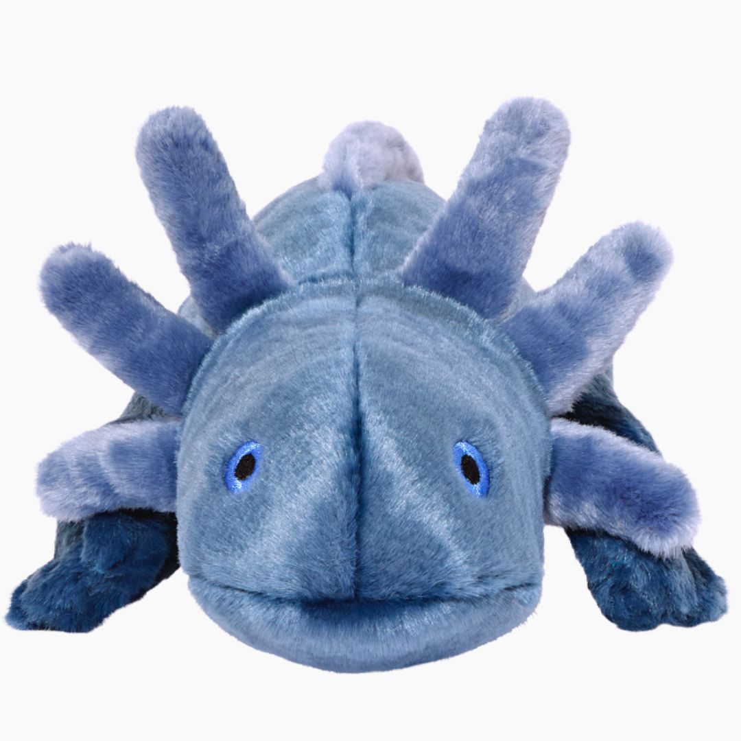 Millie Axolotl