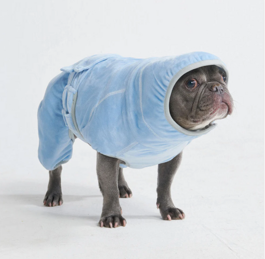 10 Minute Dry Dog Bathrobe