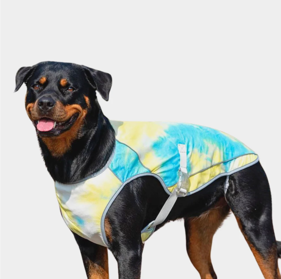 Dog Cooling Vest - Tropical Storm