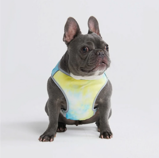 Dog Cooling Vest - Tropical Storm