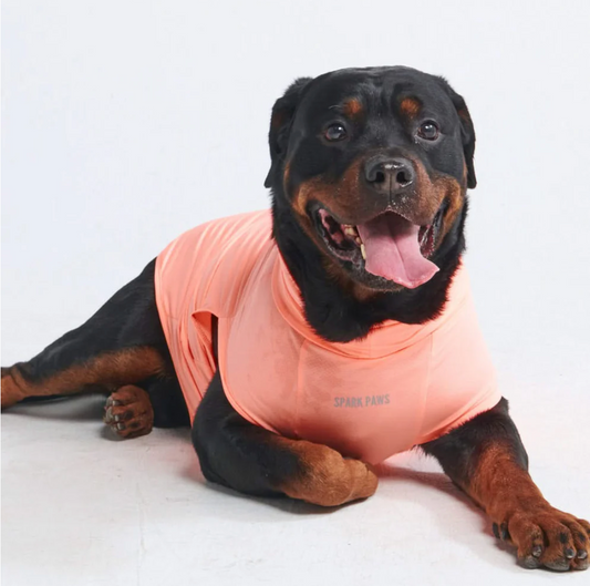 Sunblock Dog T-Shirt - Peach