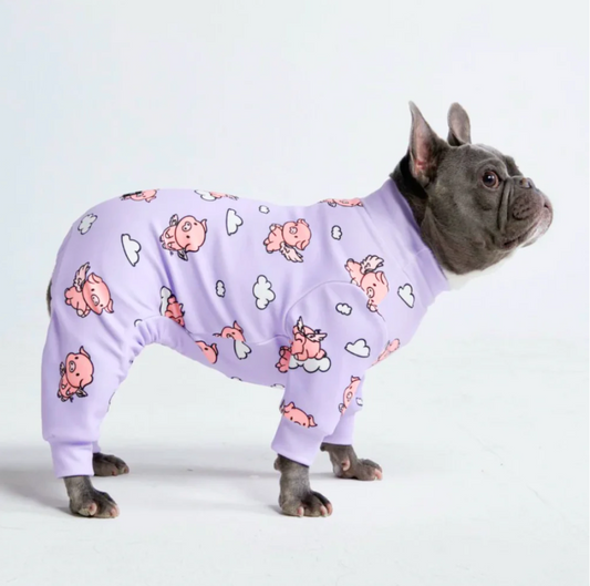 Dog Pajama - Pigs Fly