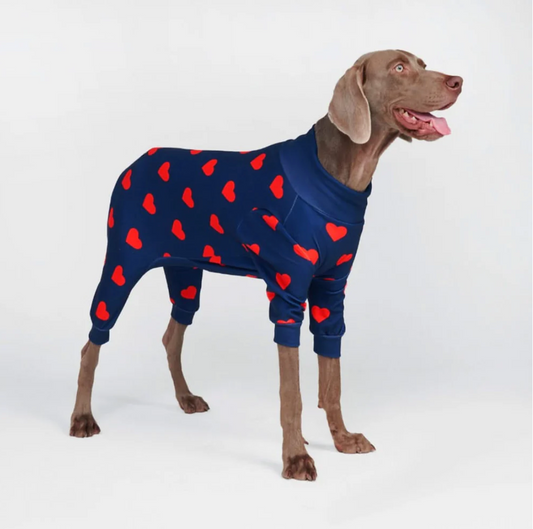 Dog Pajama - Hearts