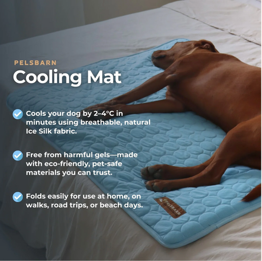 Cooling Mat Heat Relief - Pelsbarn