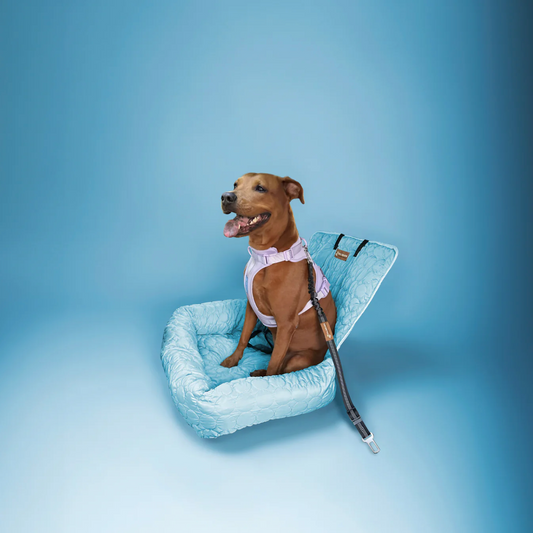 Cooling Car Bed Heat Relief - Pelsbarn