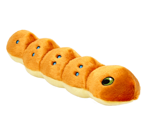 Spicy Caterpillar