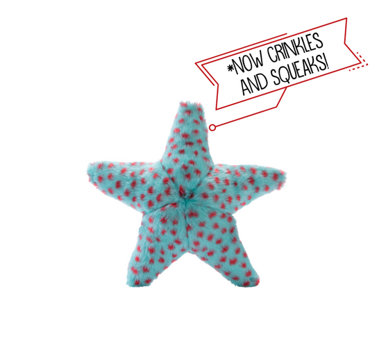 Ally Starfish