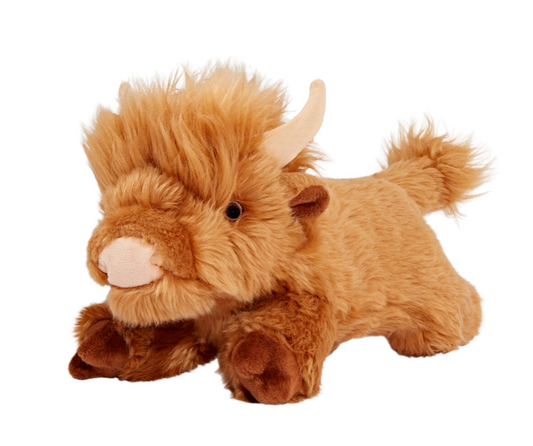 Shaggy Cow