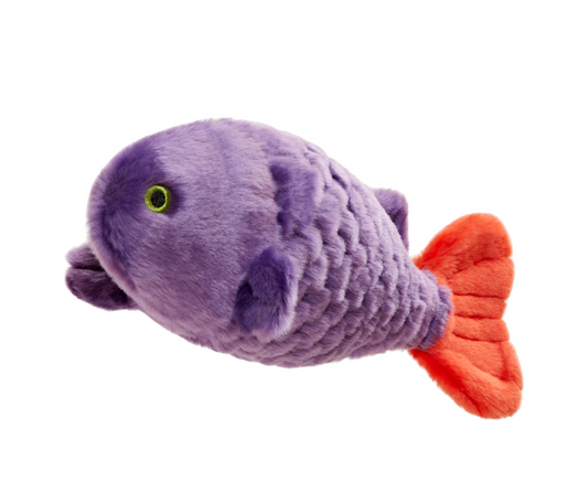 Cici Tropical Fish