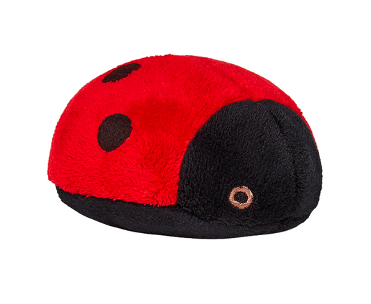 Lady Bug