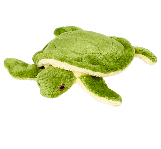 Shelly Turtle