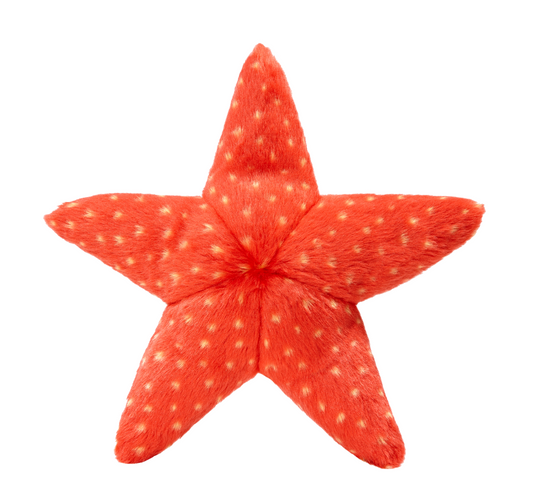 Ziggy Starfish