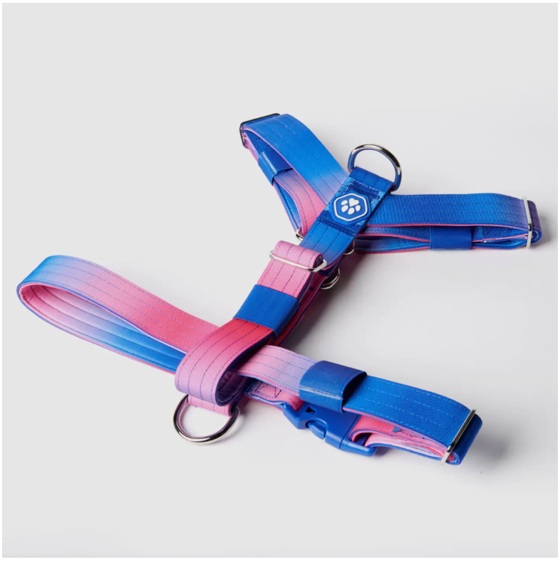 Comfort Control No-Pull Dog Harness