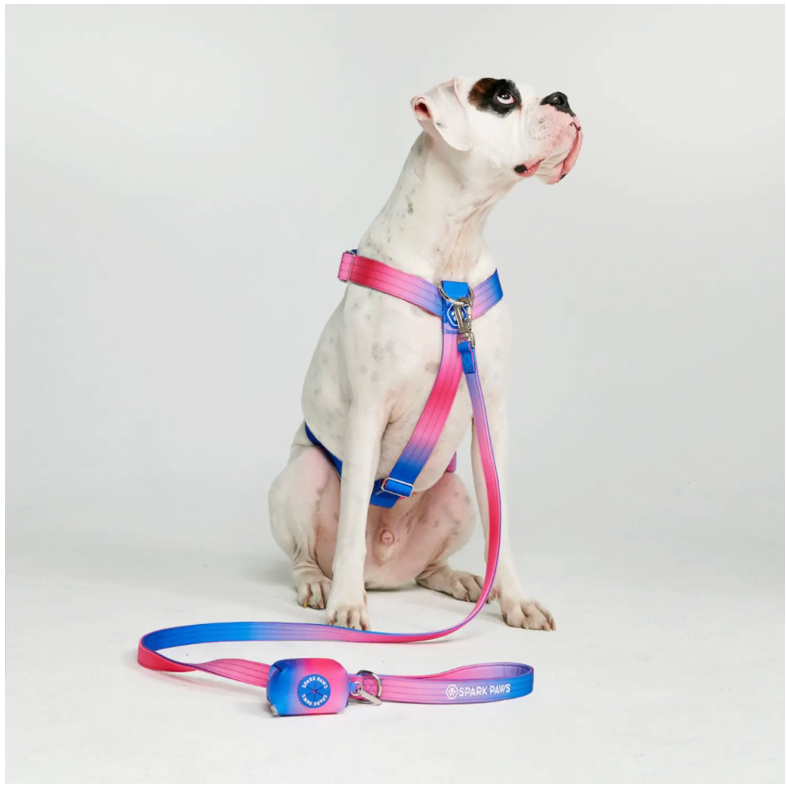 Comfort Control No-Pull Dog Harness