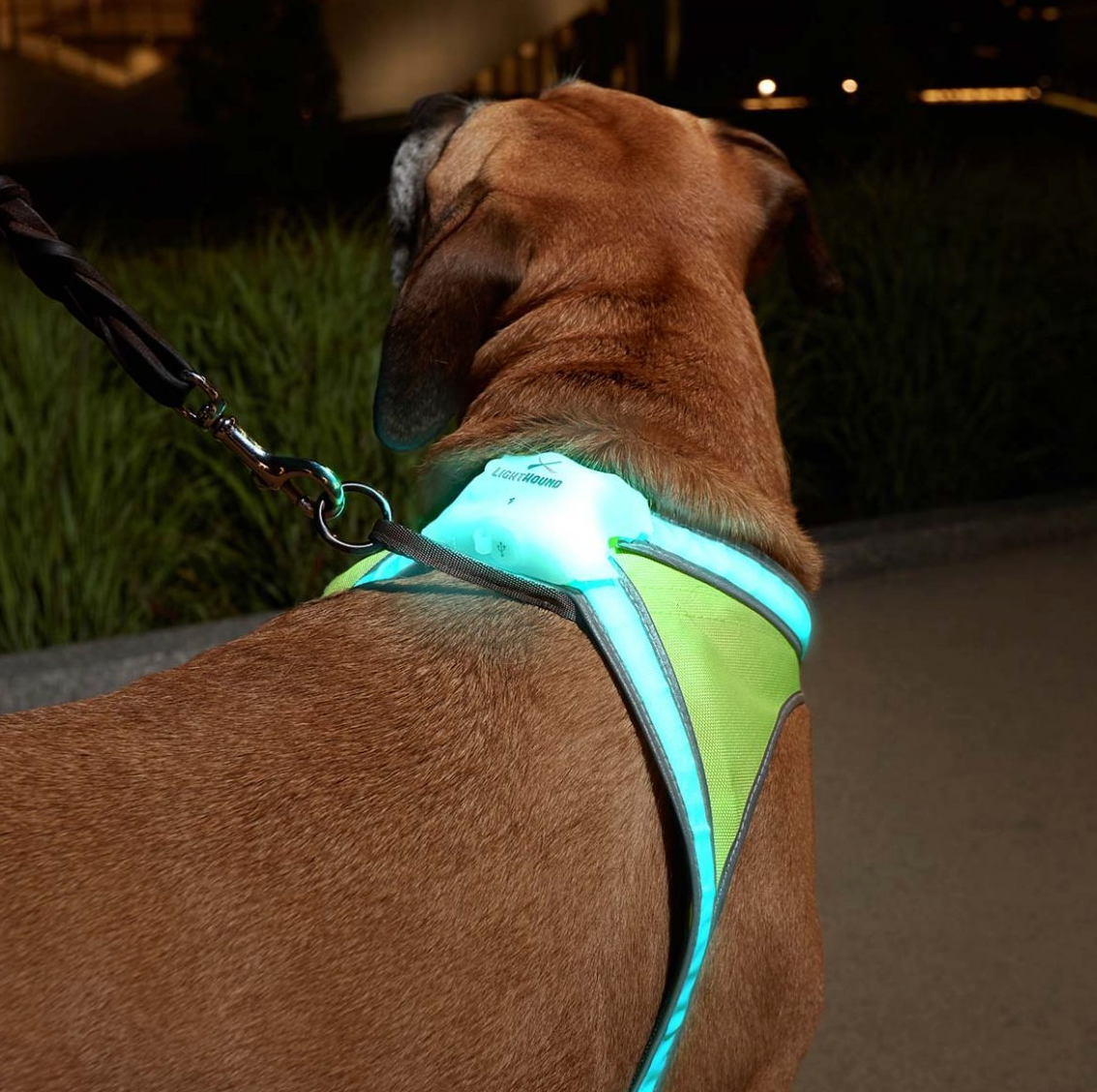 LightHound Visibility Vest
