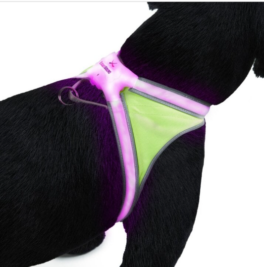 LightHound Visibility Vest