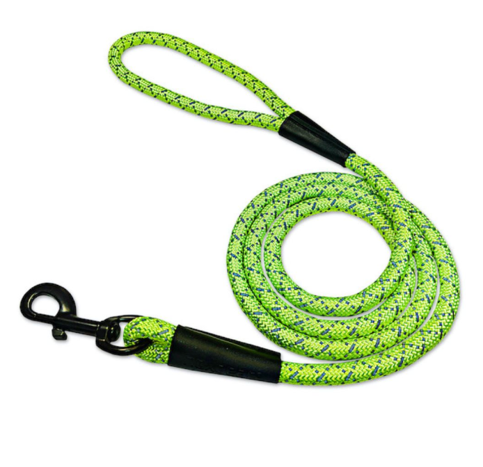 High Visibility Leash