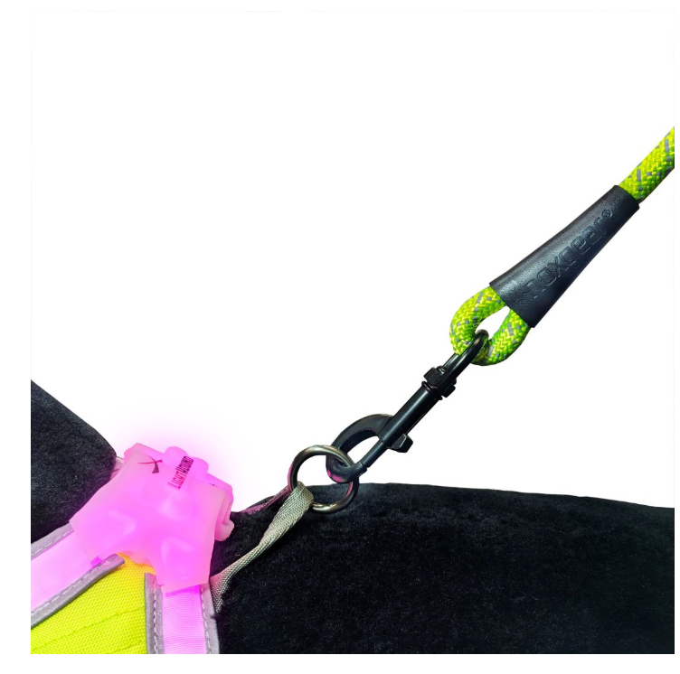 High Visibility Leash