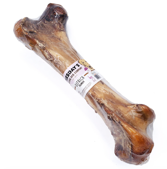 Ostrich Femur (Bulk)