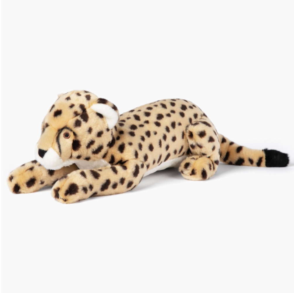 Kali Cheetah