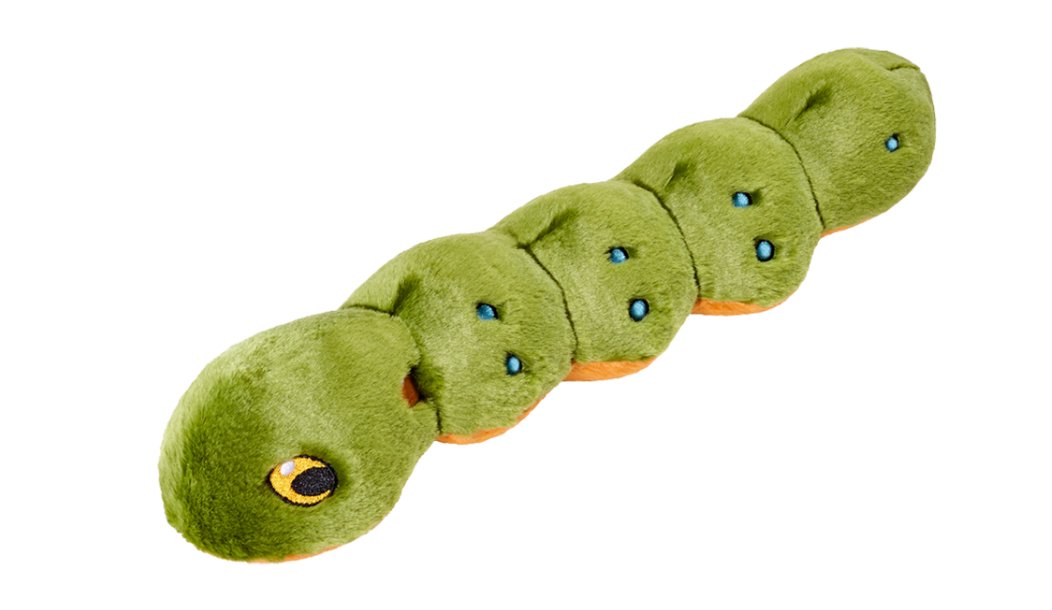 Katie Caterpillar