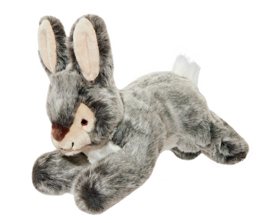 Walter Wabbit
