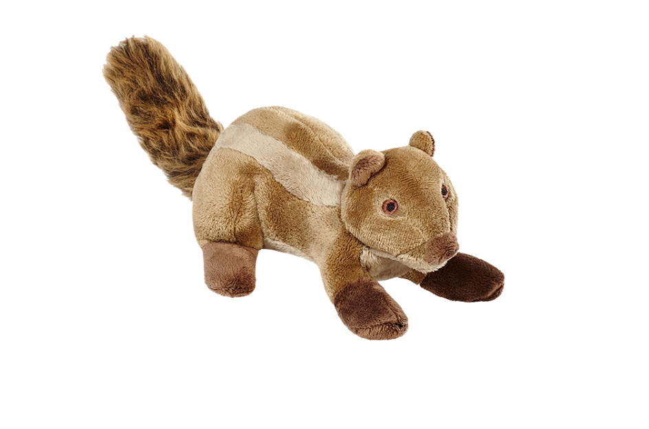 Peanut Chipmunk