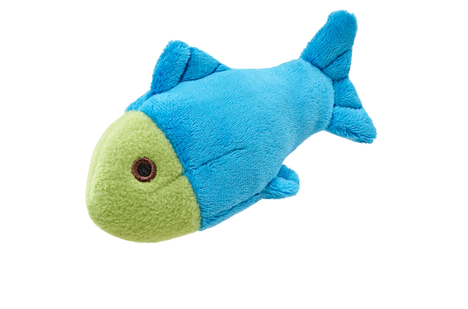 Molly Fish