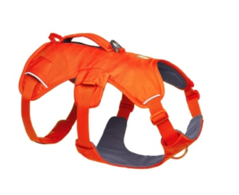 Ruffwear Web Master Harness