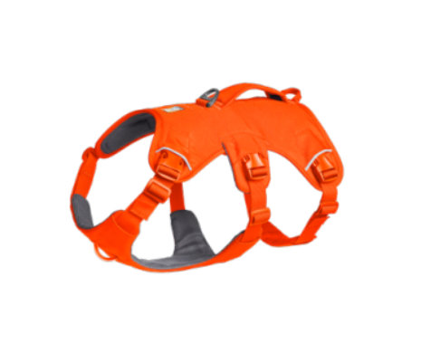 Ruffwear Web Master Harness