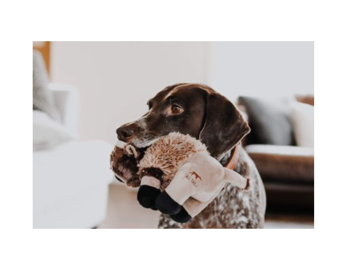 Plush Buffalo Squeaker Toy