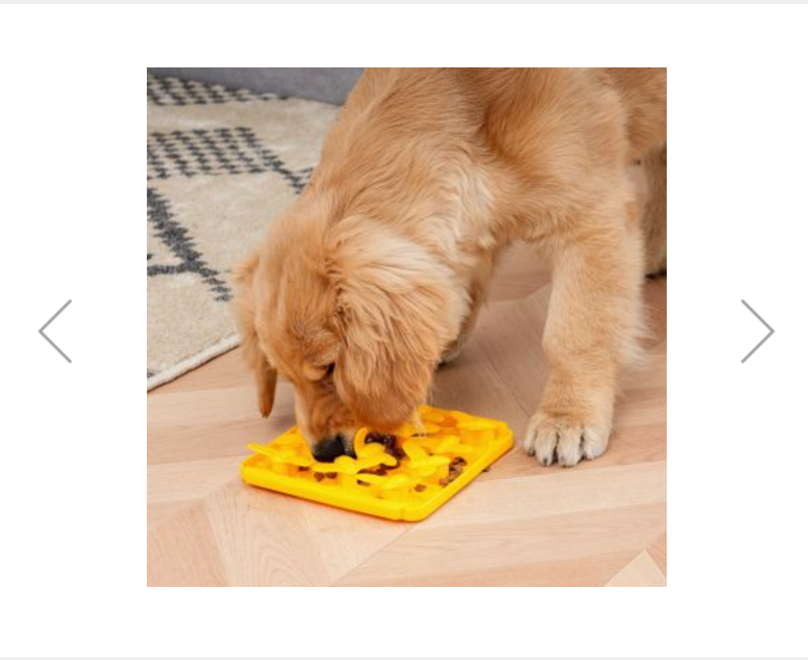 Bee Foraging Mat For Dogs