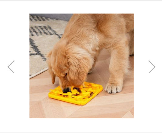Bee Foraging Mat For Dogs