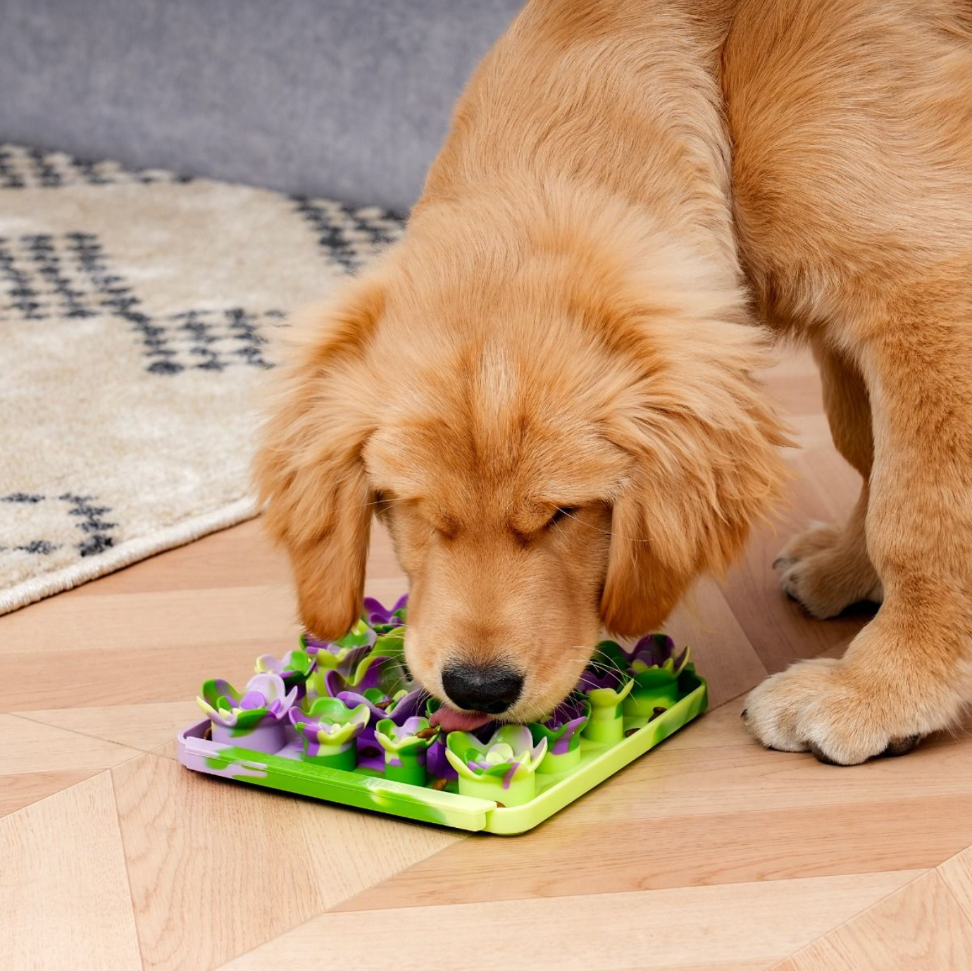 Succulent Foraging Mat For Dogs
