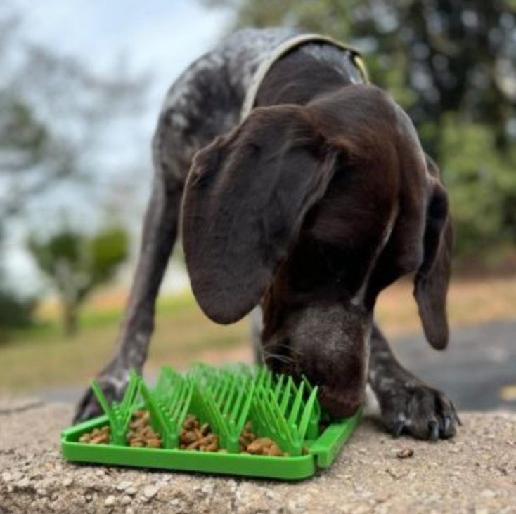 Grass Foraging Mat For Dogs