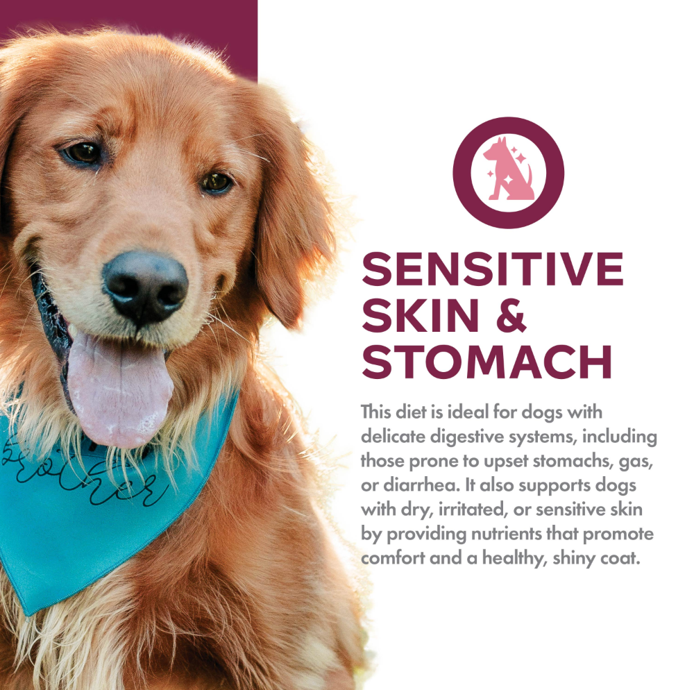 Fromm Nutritionals Sensitive Skin & Stomach Salmon & Whole Oats Dry Dog Food