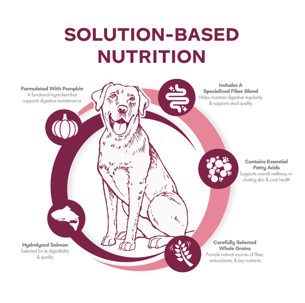Fromm Nutritionals Sensitive Skin & Stomach Salmon & Whole Oats Dry Dog Food