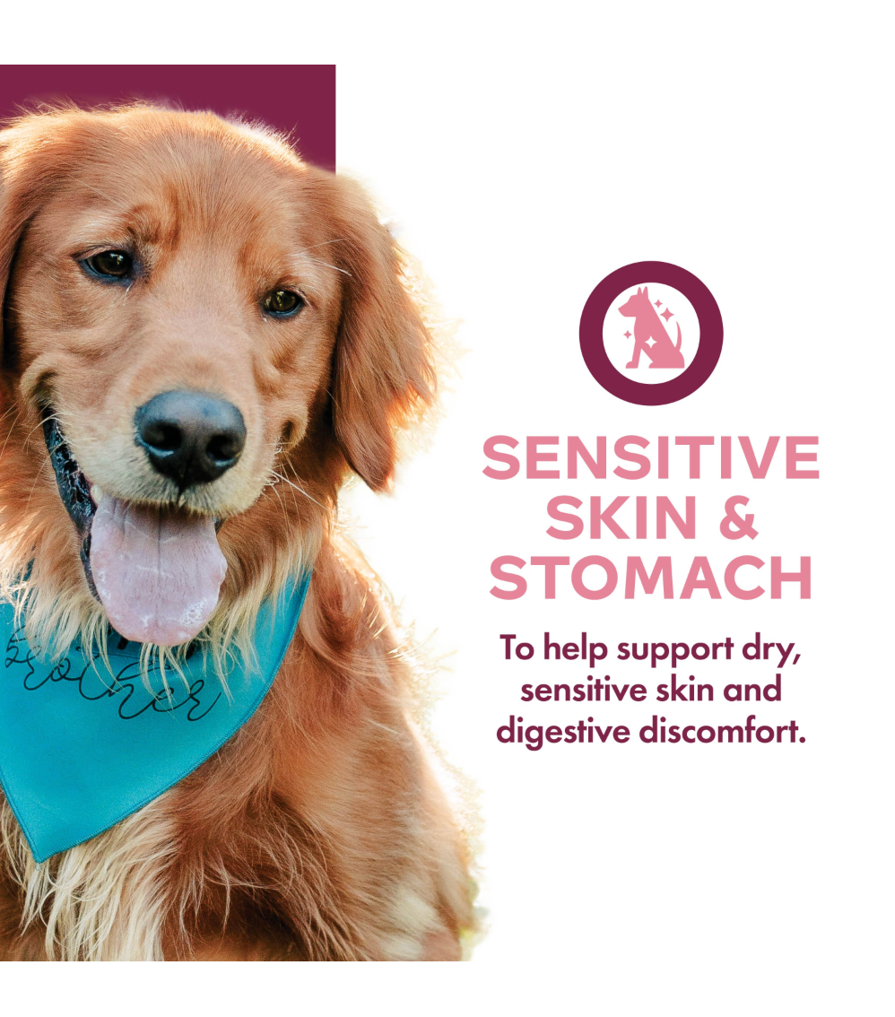 Fromm Nutritionals Sensitive Skin & Stomach Dog Wet Food