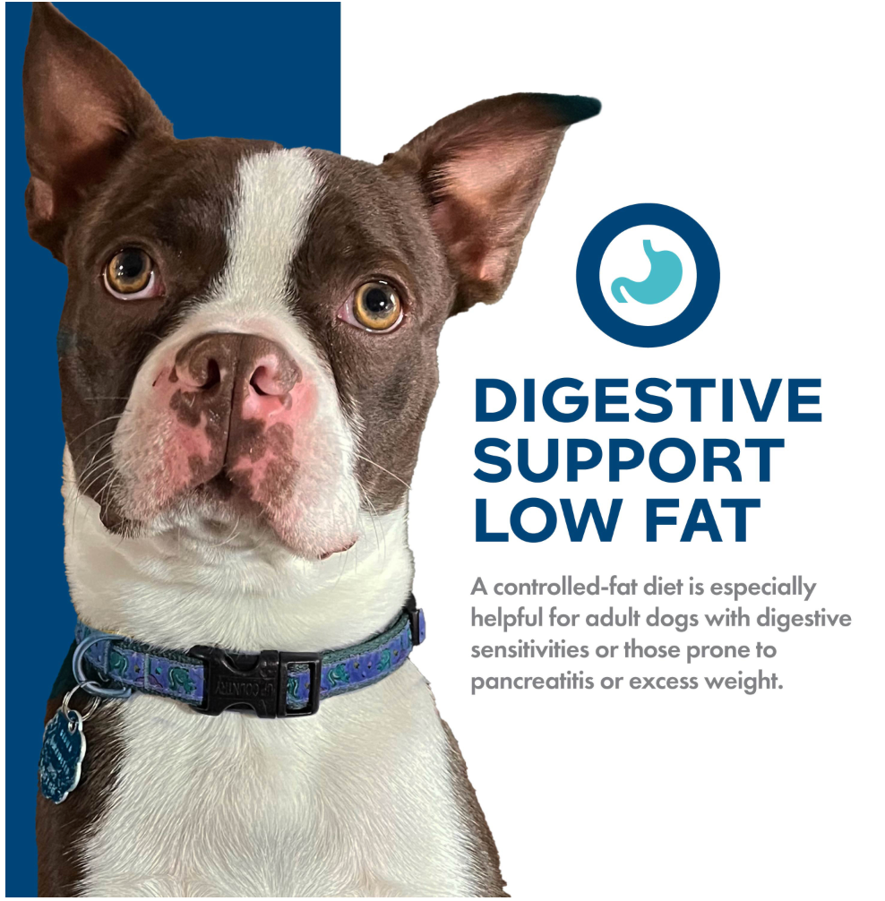 Nutritionals Digestive Support Low Fat Chicken & Oatmeal Recipe Dry Dog Food