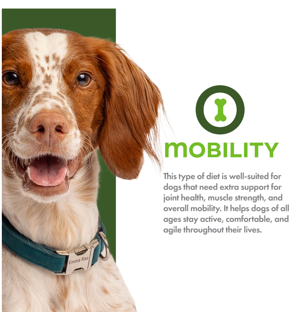 Nutritionals Mobility Chicken & Whole Oats Recipe Dry Dog Food