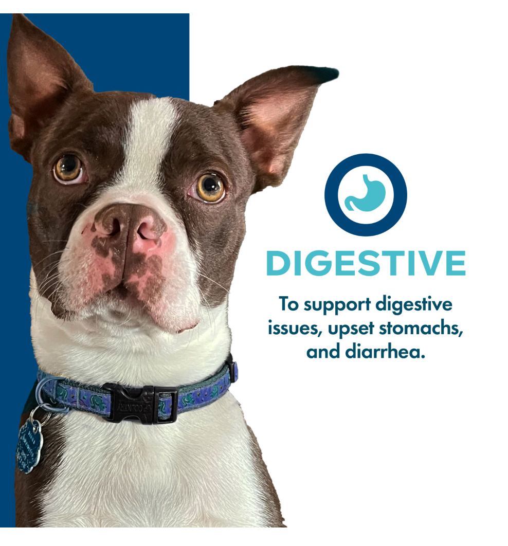 Nutritionals Digestive Functional Dog Treats