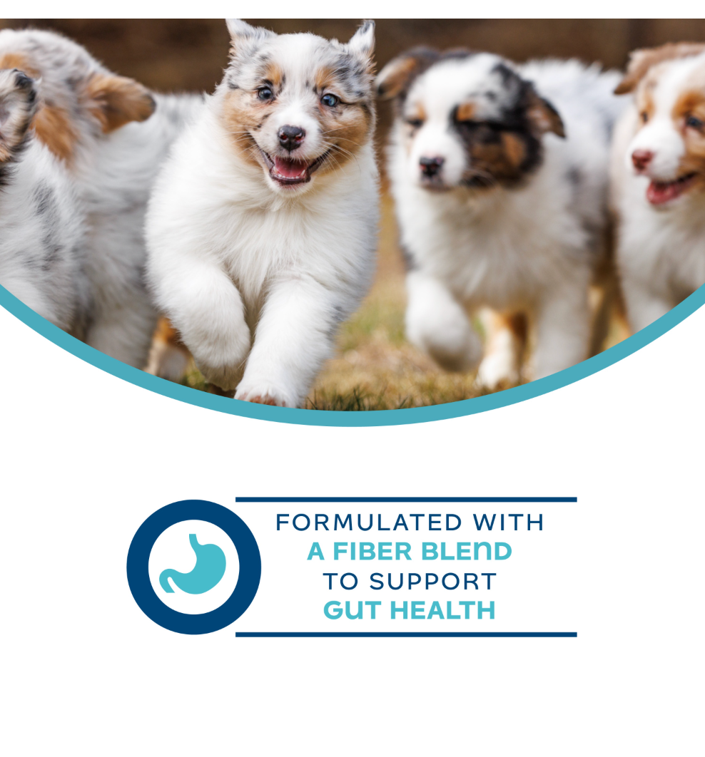 Nutritionals Digestive Functional Dog Treats