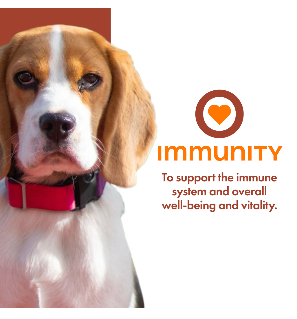 Nutritionals Immunity Functional Dog Treats