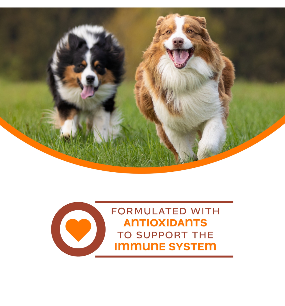 Nutritionals Immunity Functional Dog Treats