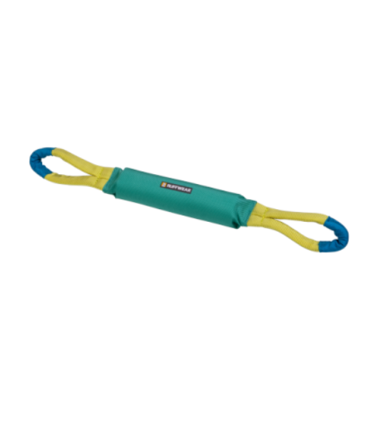 Pacific Loop Toy