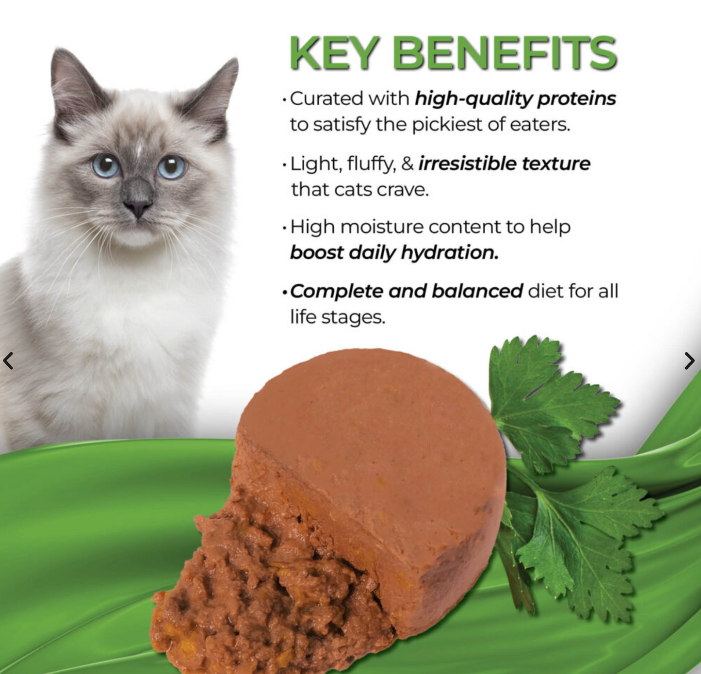 Fussie Cat Fine Dining Mousse Chicken with Pumpkin Entrée in Gravy Recipe Wet Cat Food
