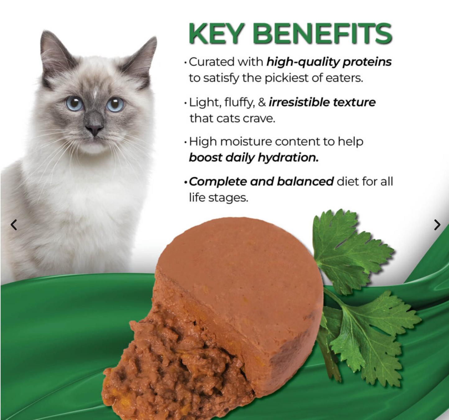 Fussie Cat Fine Dining Mousse Oceanfish with Pumpkin Entrée in Gravy Recipe Wet Cat Food