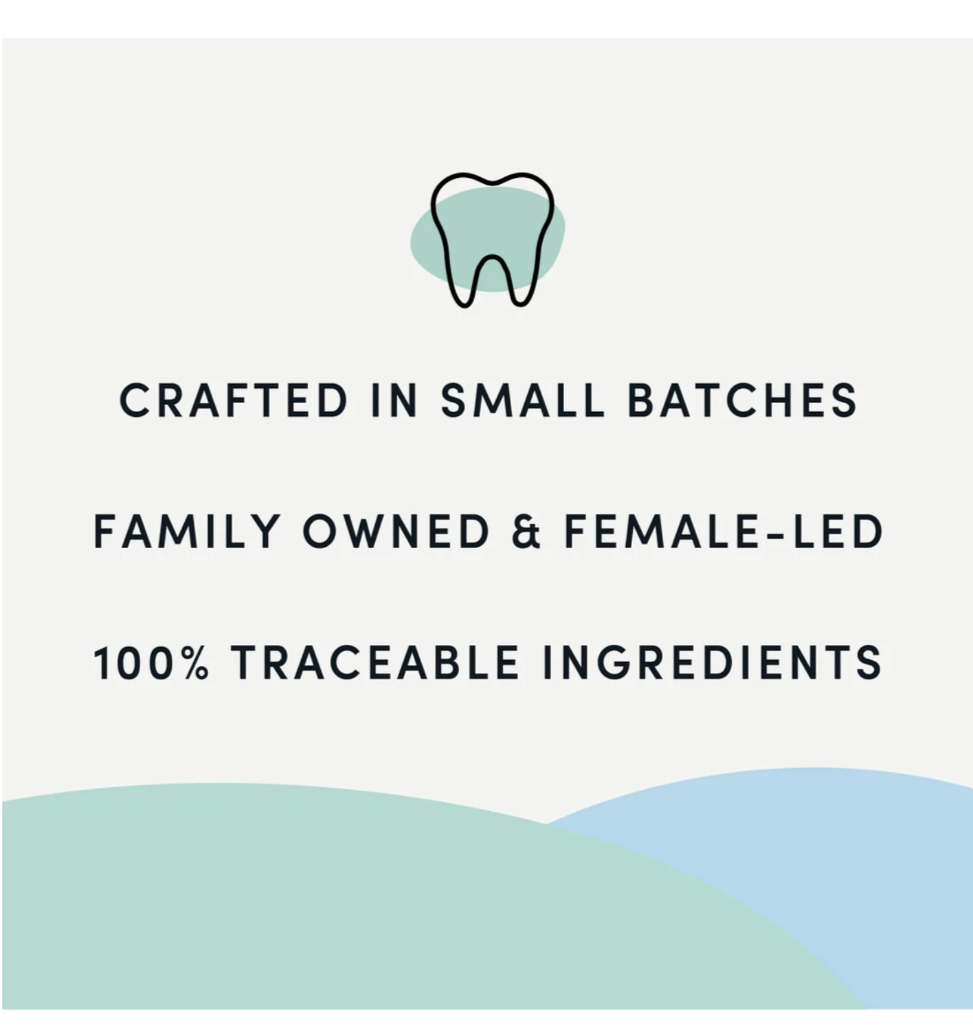 Crumps Naturals Plaque Busters Pumpkin Spice Dental Sticks