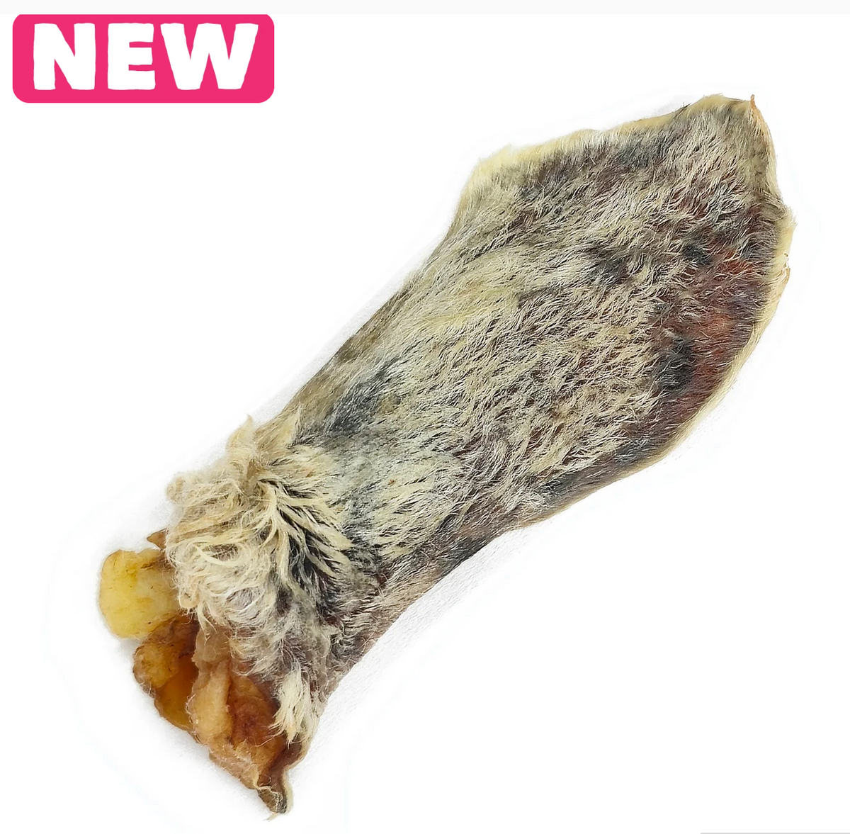 Furry Lamb Ear (Bulk)